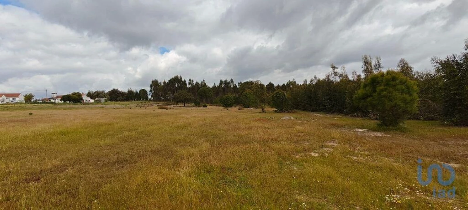 Terreno para Venda em Branca Foto 10