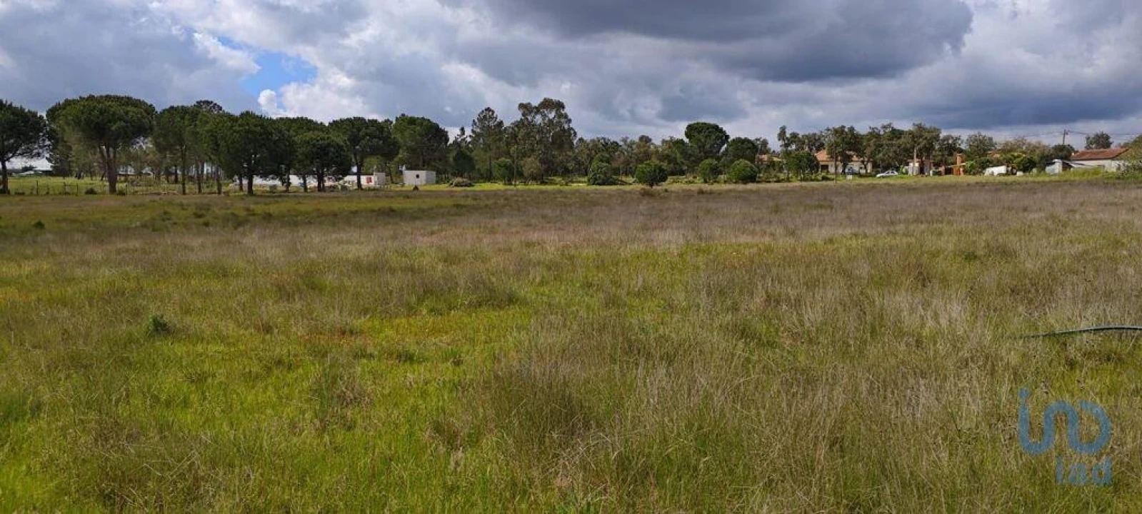 Terreno para Venda em Branca Foto 5