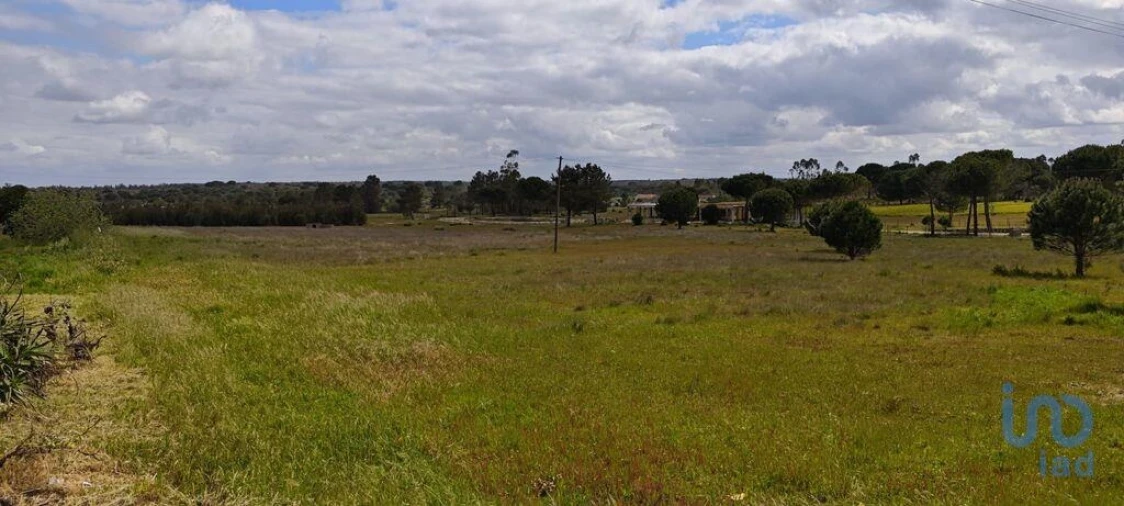 Terreno para Venda em Branca