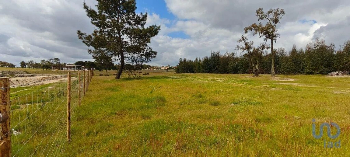 Terreno para Venda em Branca Foto 6