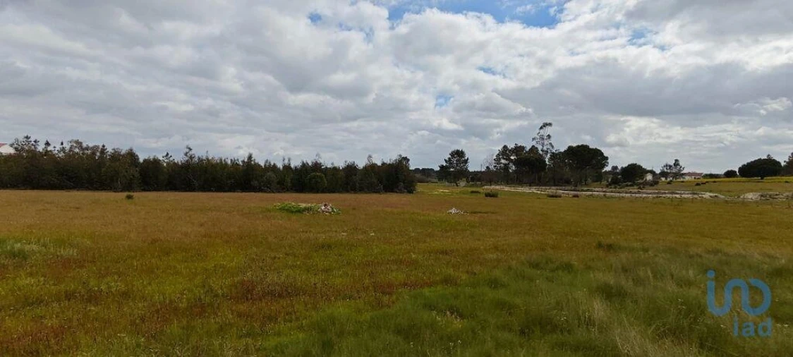 Terreno para Venda em Branca Foto 8