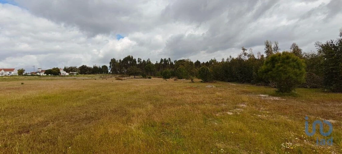 Terreno para Venda em Branca Foto 10