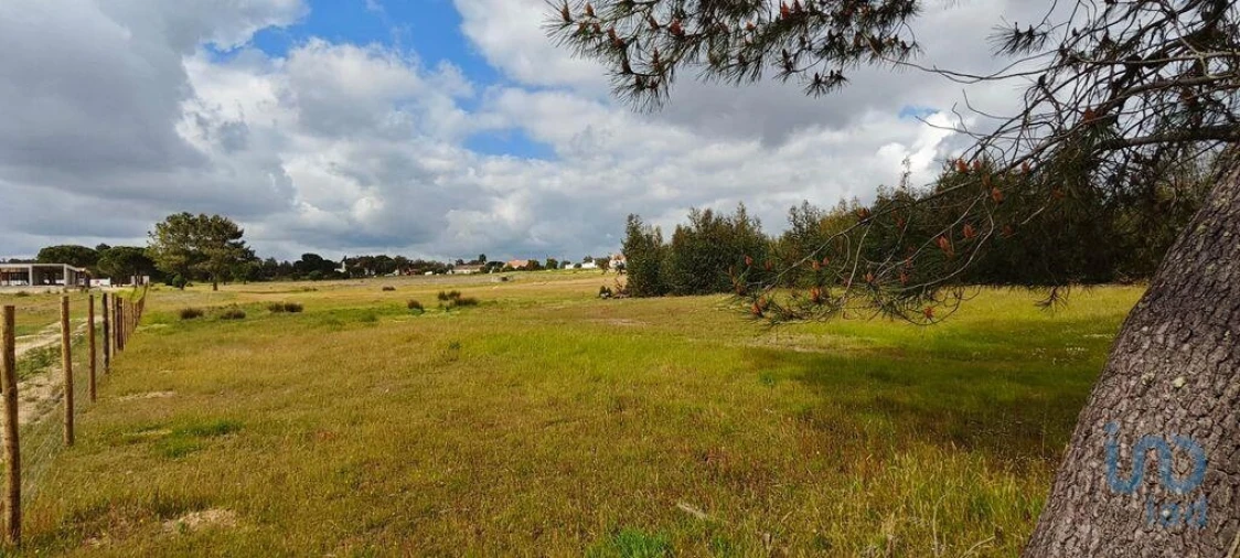 Terreno para Venda em Branca Foto 13