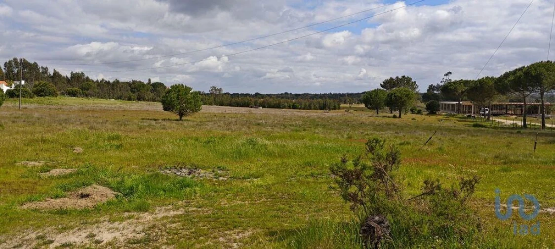 Terreno para Venda em Branca Foto 3