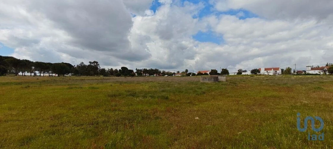 Terreno para Venda em Branca Foto 11