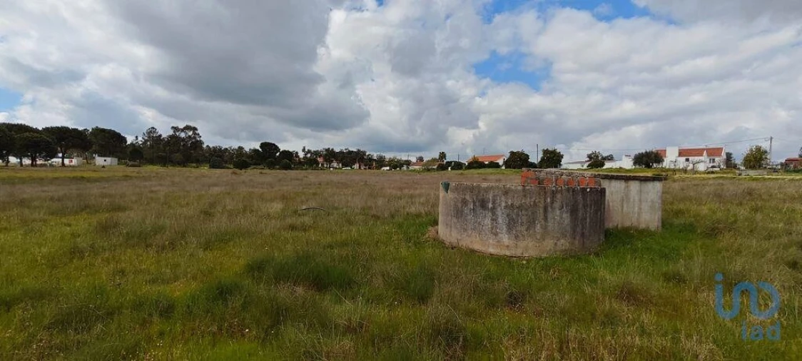 Terreno para Venda em Branca Foto 7