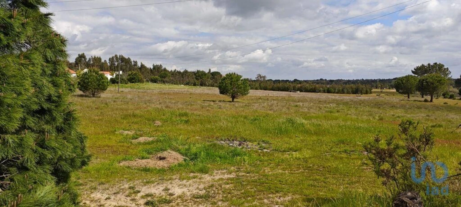 Terreno para Venda em Branca Foto 2