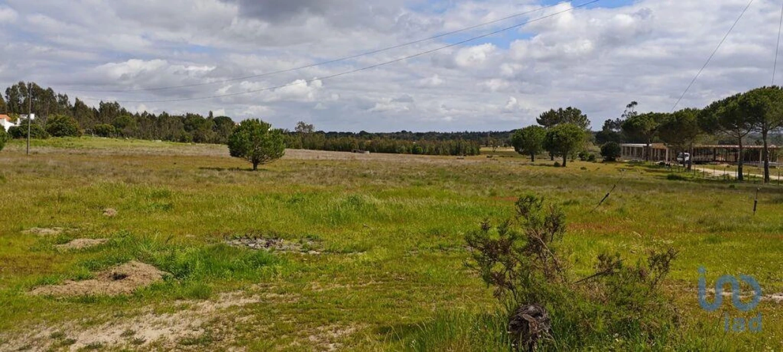 Terreno para Venda em Branca Foto 3