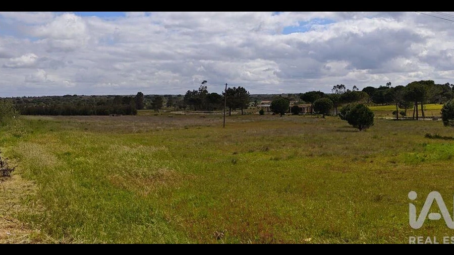 Terreno para Venda em Branca