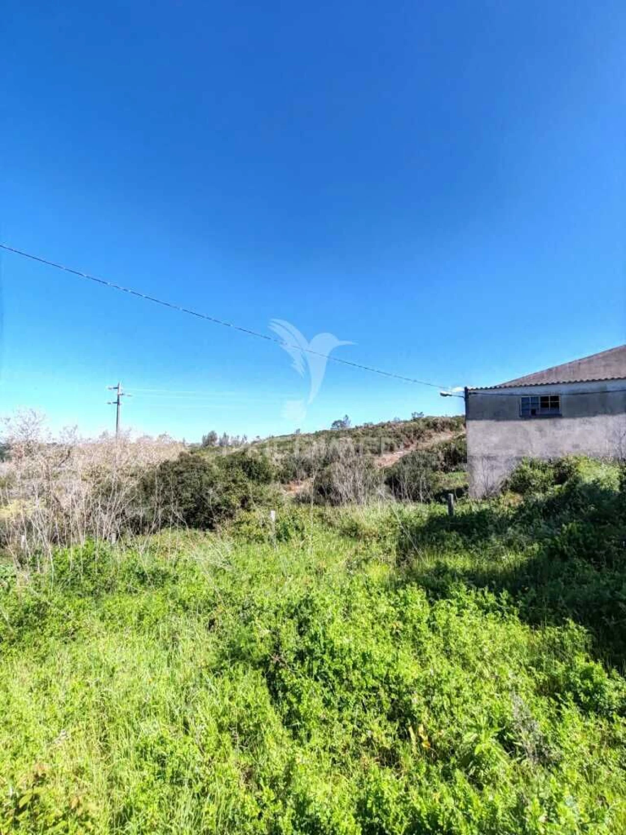 Armazém para Venda em Alcobaça e Vestiaria Foto 1