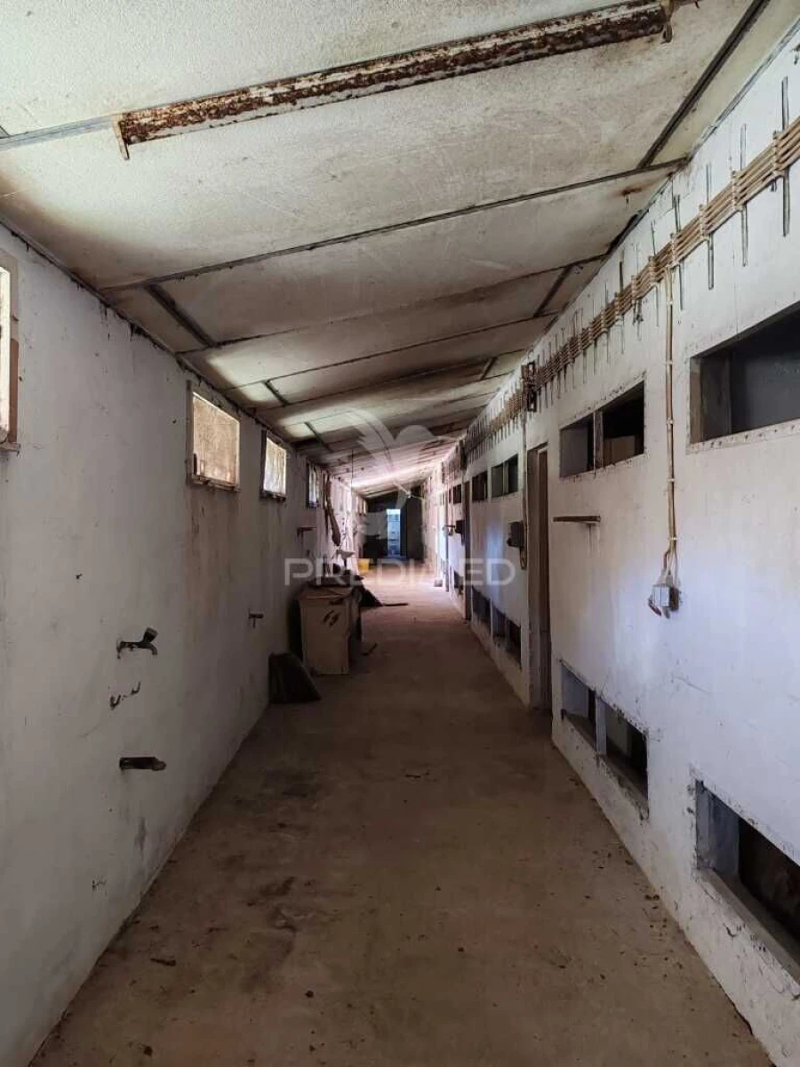 Armazém para Venda em Alcobaça e Vestiaria Foto 4