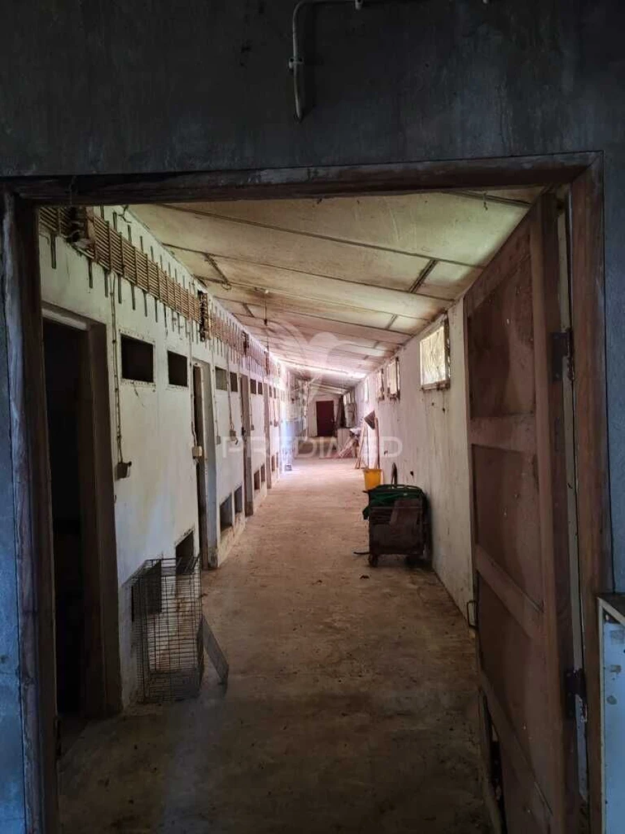 Armazém para Venda em Alcobaça e Vestiaria Foto 18