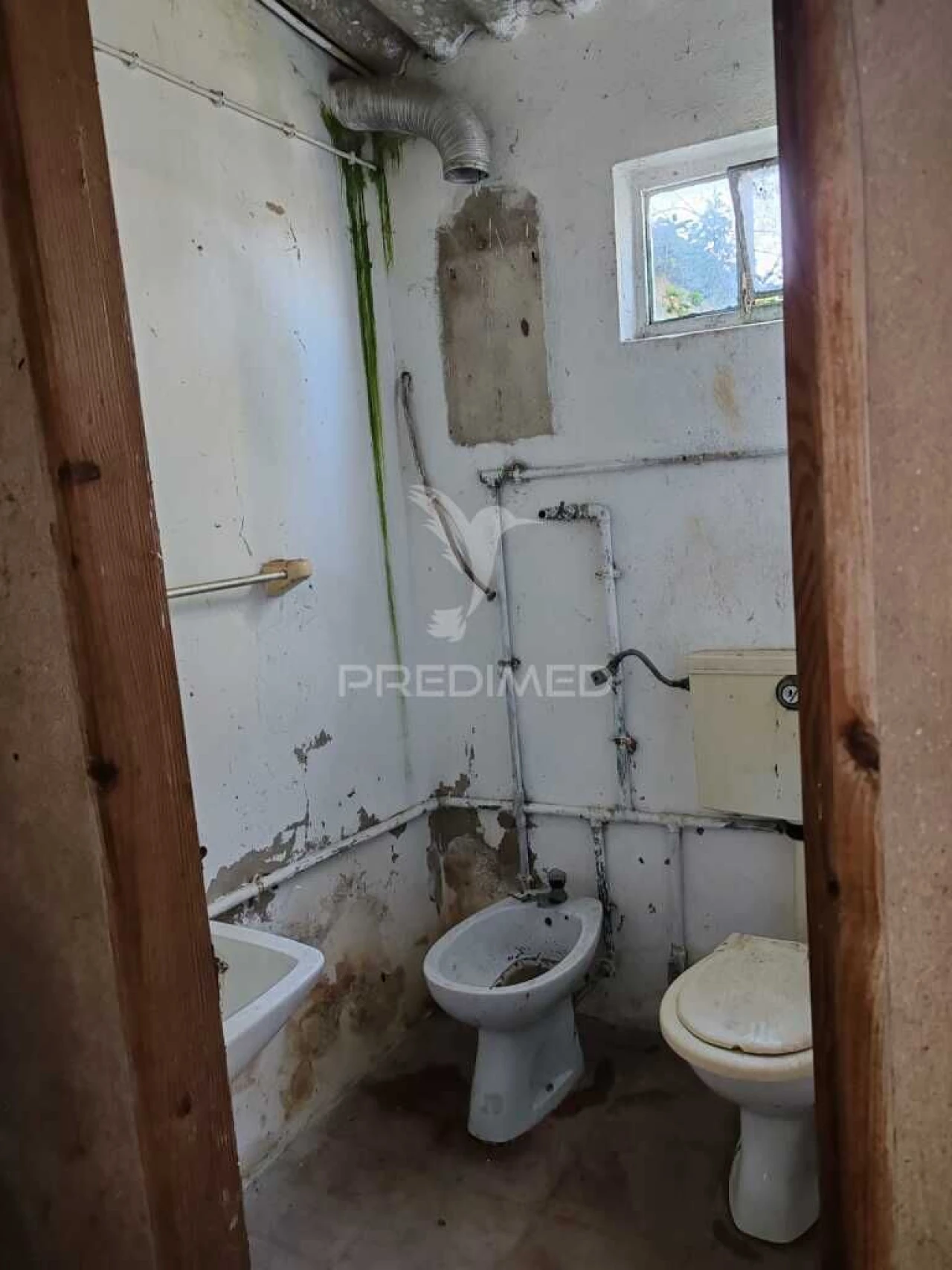 Armazém para Venda em Alcobaça e Vestiaria Foto 8