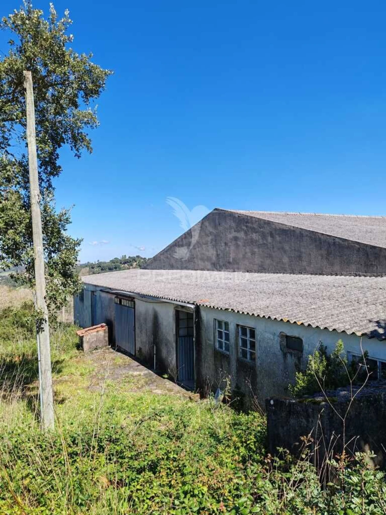 Armazém para Venda em Alcobaça e Vestiaria Foto 3