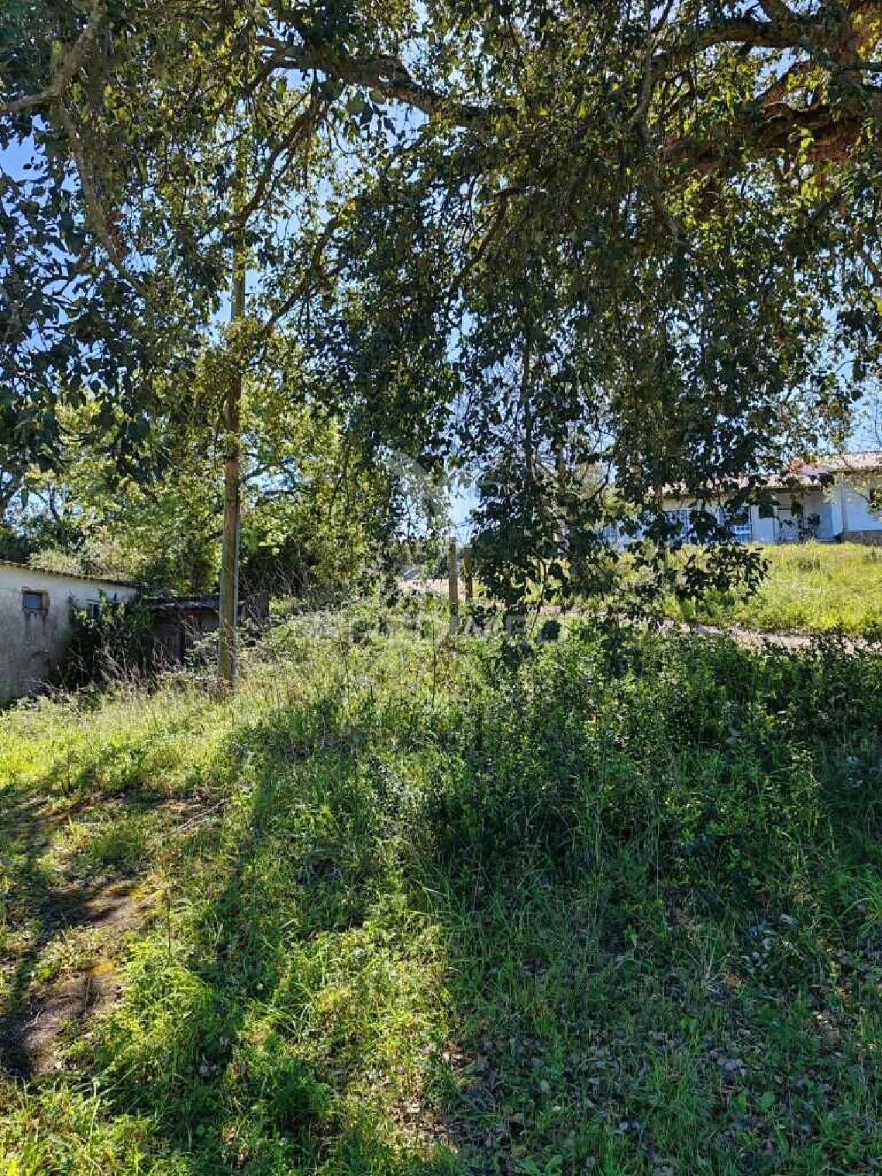 Armazém para Venda em Alcobaça e Vestiaria Foto 20