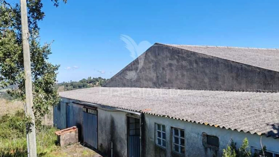 Armazém para Venda em Alcobaça e Vestiaria