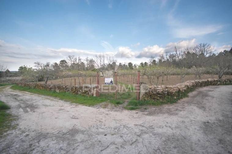 Terreno para Venda em Torre do Terrenho, Sebadelhe da Serra e Terrenho Foto 13
