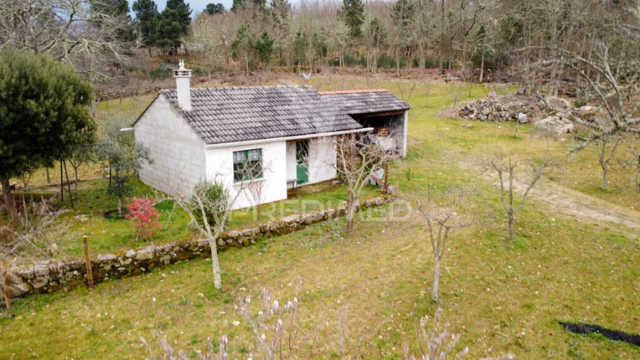 Terreno para Venda em Torre do Terrenho, Sebadelhe da Serra e Terrenho Foto 3