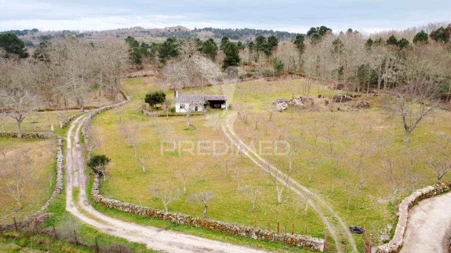 Terreno para Venda em Torre do Terrenho, Sebadelhe da Serra e Terrenho Foto 2