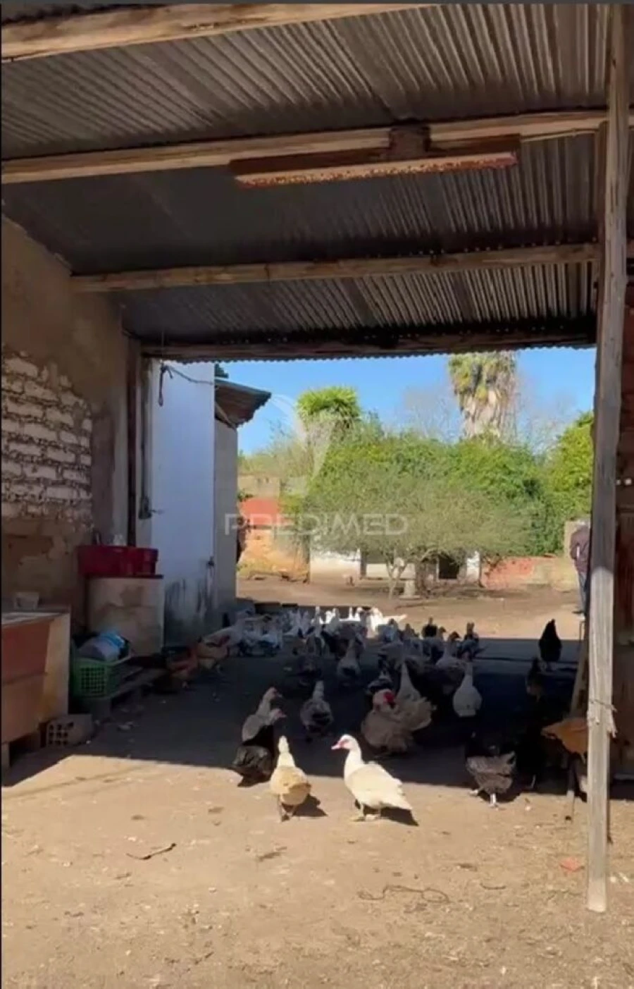 Terreno para Venda em Arrouquelas Foto 5