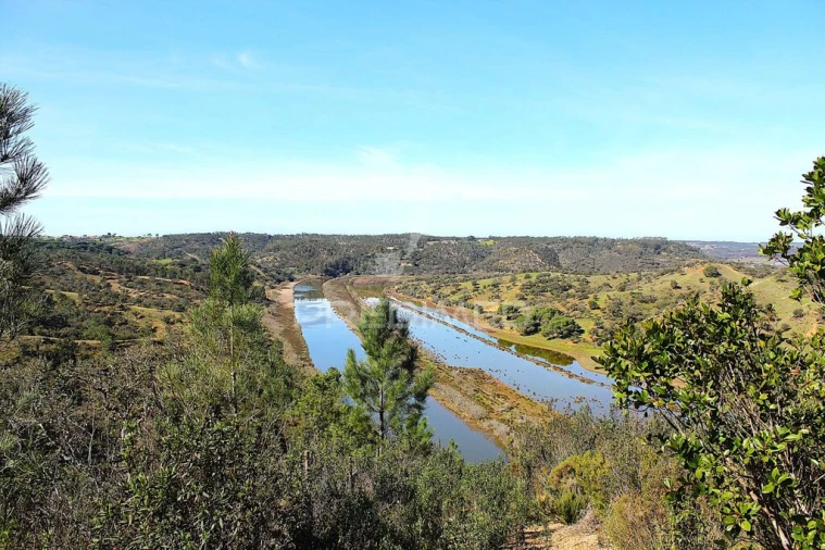 Quinta T3 para Venda em São Salvador e Santa Maria Foto 9