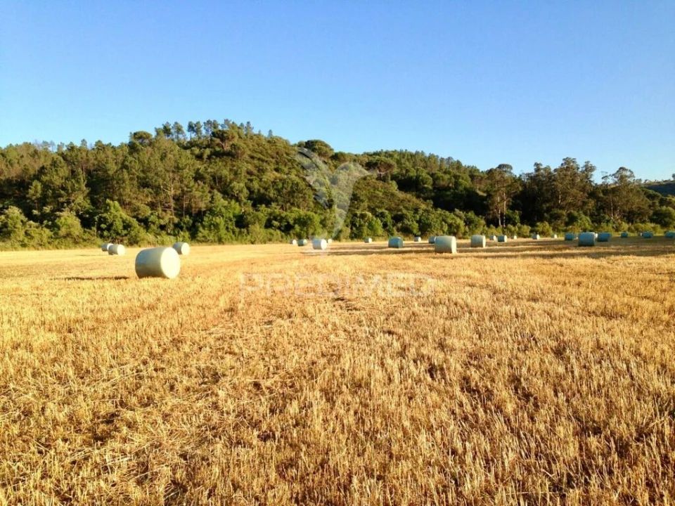 Quinta T3 para Venda em São Salvador e Santa Maria Foto 15