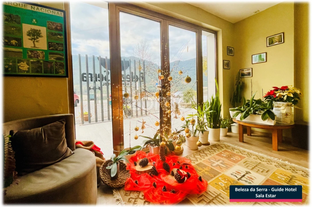 Negócio para Venda em Vilar da Veiga Foto 60