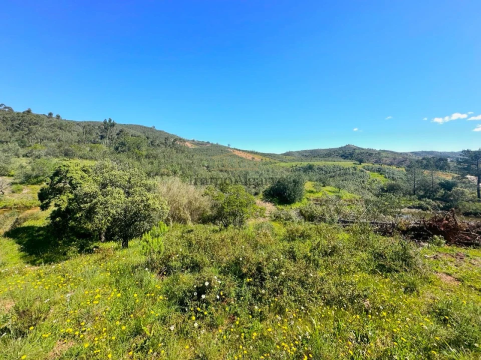 Moradia T3 para Venda em Alte Foto 13