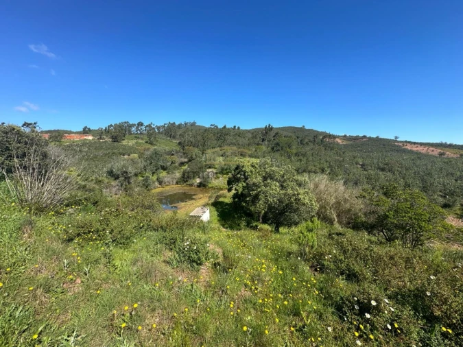 Moradia T3 para Venda em Alte Foto 3