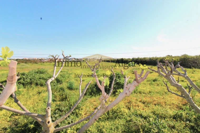 Moradia T2 para Venda em Albufeira e Olhos de Água Foto 5