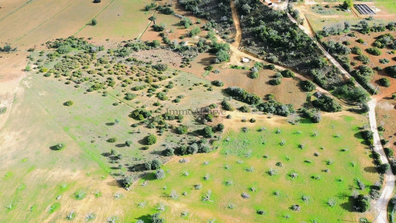 Terreno Agricola ou Rústico para Venda em Algoz e Tunes Foto 2