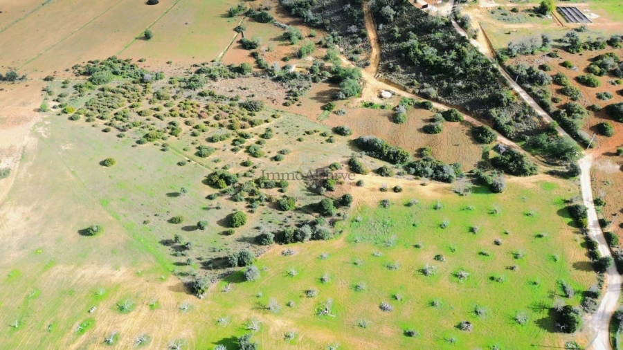 Terreno Agricola ou Rústico para Venda em Algoz e Tunes Foto 2