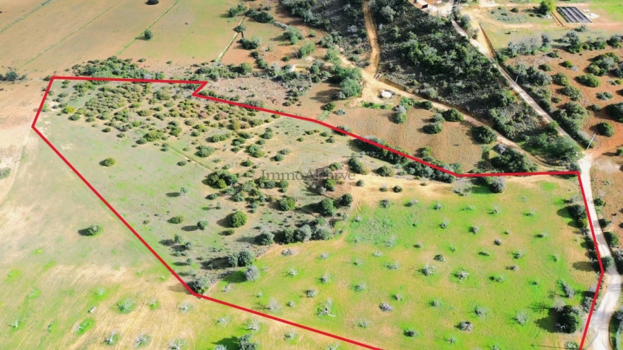 Terreno Agricola ou Rústico para Venda em Algoz e Tunes