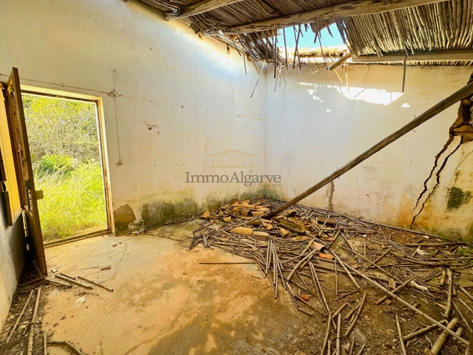 Terreno Misto para Venda em Ferreiras Foto 7