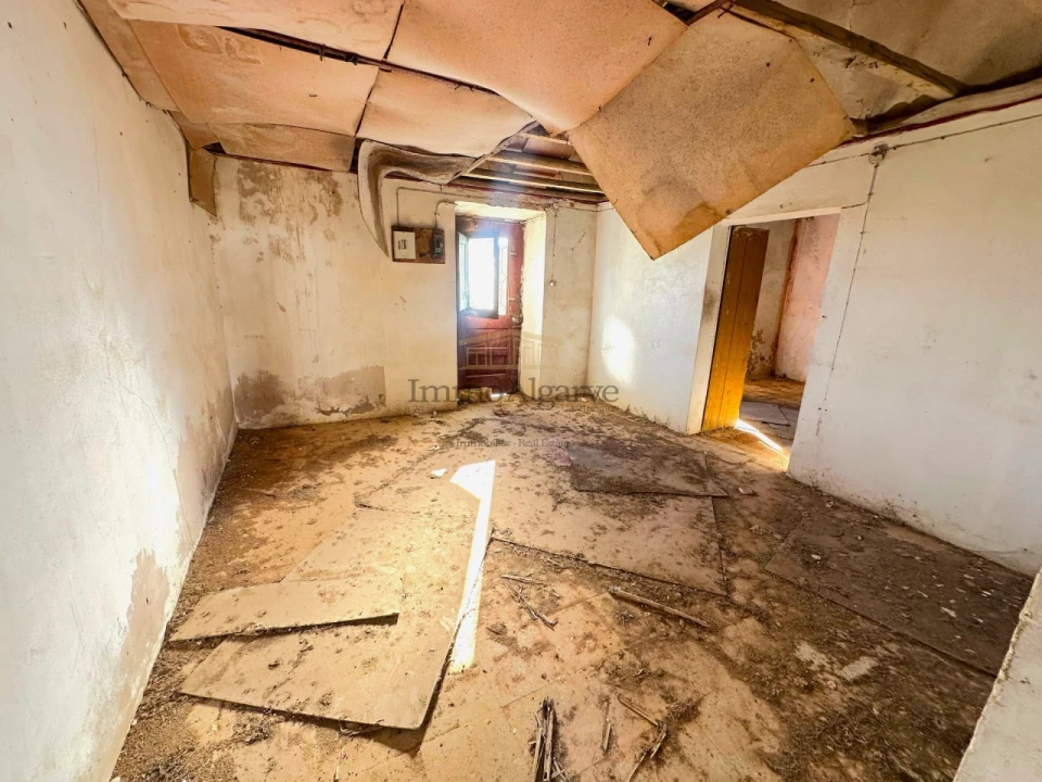 Terreno Misto para Venda em Ferreiras Foto 13