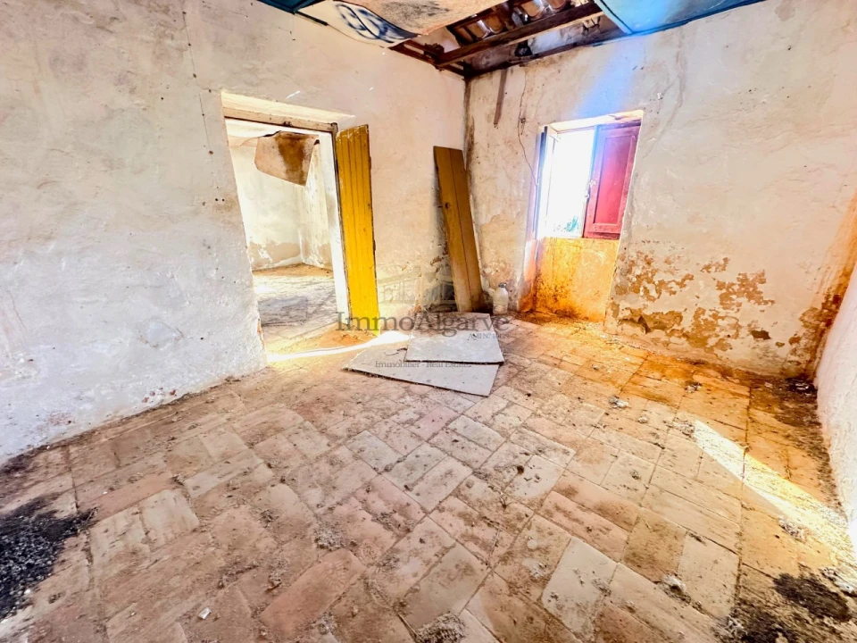 Terreno Misto para Venda em Ferreiras Foto 16