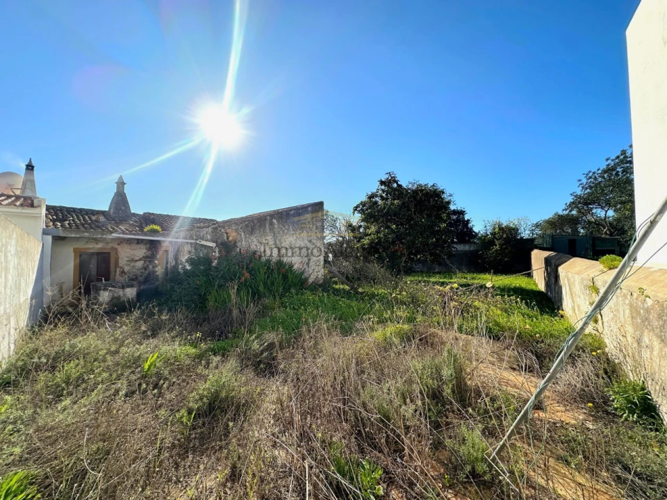 Terreno Misto para Venda em Ferreiras Foto 17