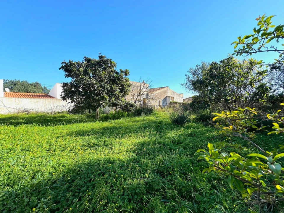 Terreno Misto para Venda em Ferreiras Foto 19