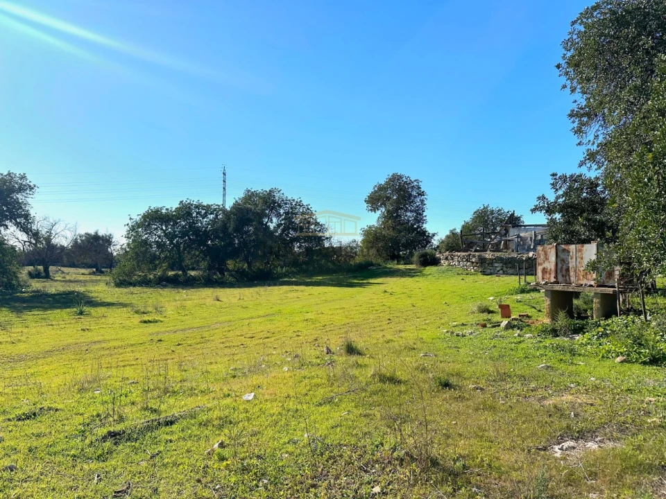 Terreno Misto para Venda em Ferreiras Foto 20