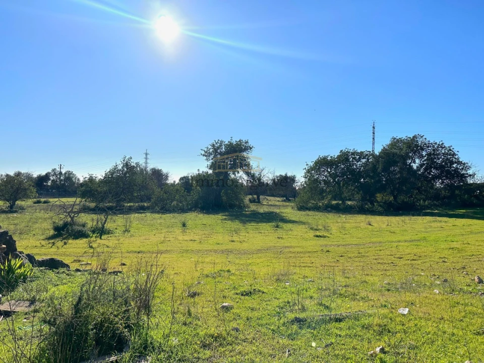 Terreno Misto para Venda em Ferreiras Foto 21