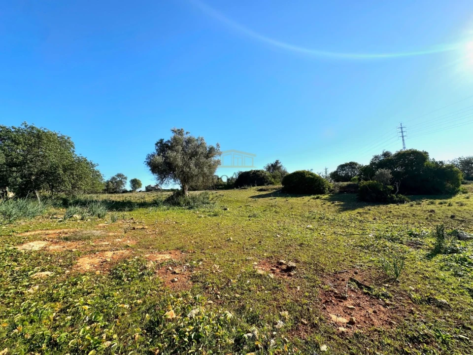 Terreno Misto para Venda em Ferreiras Foto 25