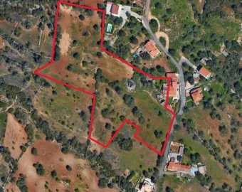 Terreno Misto para Venda em Ferreiras