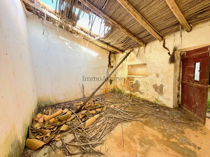 Terreno Misto para Venda em Ferreiras Foto 6