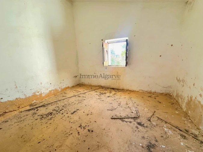 Terreno Misto para Venda em Ferreiras Foto 11