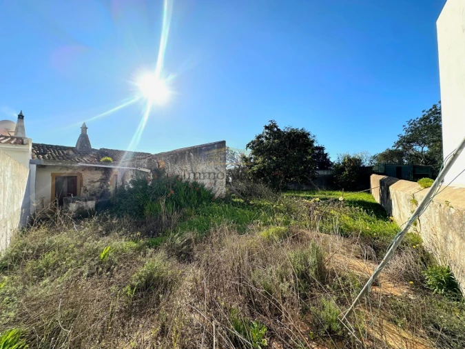 Terreno Misto para Venda em Ferreiras Foto 17