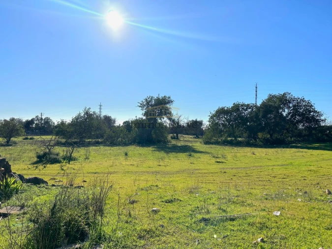 Terreno Misto para Venda em Ferreiras Foto 21