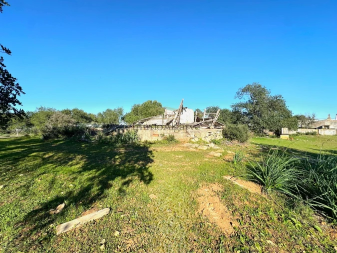 Terreno Misto para Venda em Ferreiras Foto 23