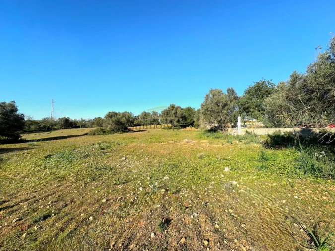 Terreno Misto para Venda em Ferreiras Foto 24