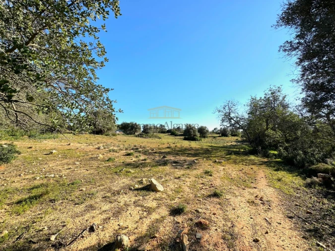 Terreno Misto para Venda em Ferreiras Foto 26