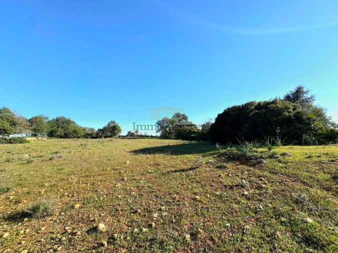 Terreno Misto para Venda em Ferreiras Foto 27